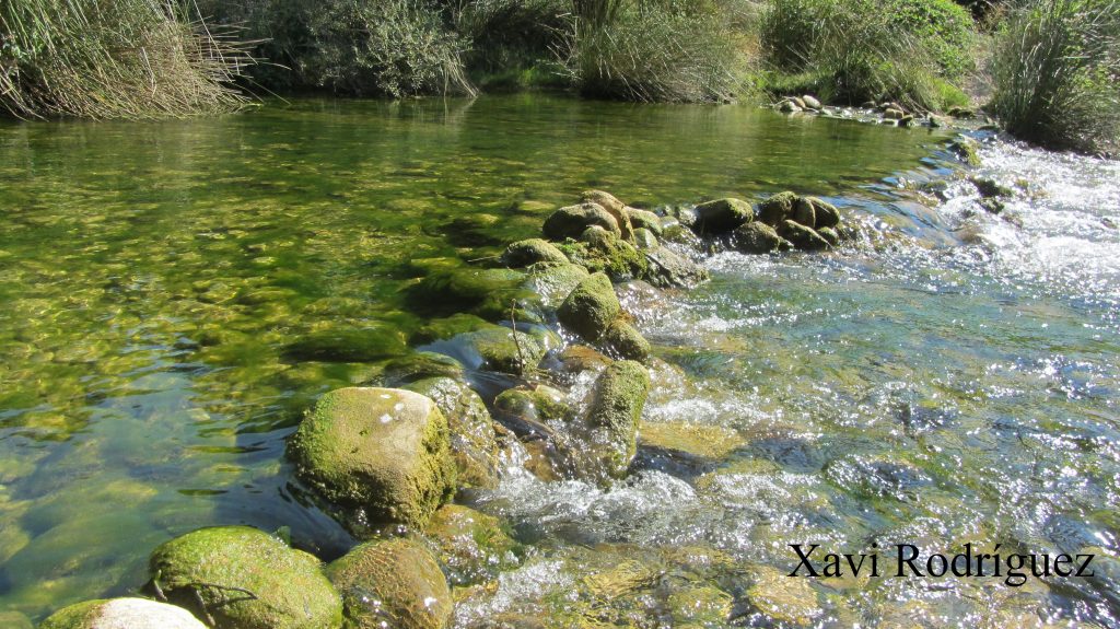 Río Guatizalema Sipán Huesca